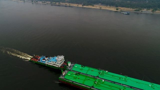Мгла накрыла Волгоград