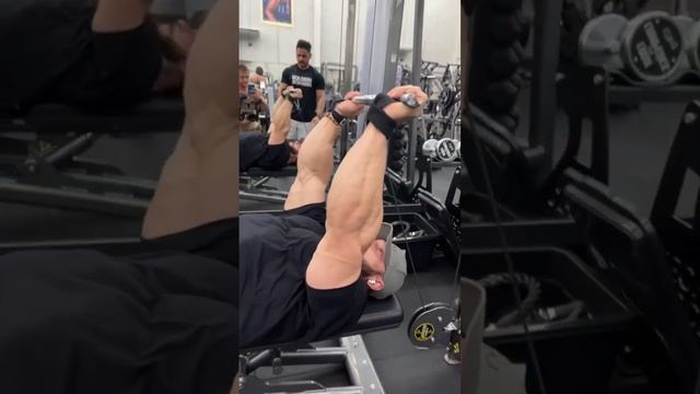 ojo con los antebrazos de ramon dino??
