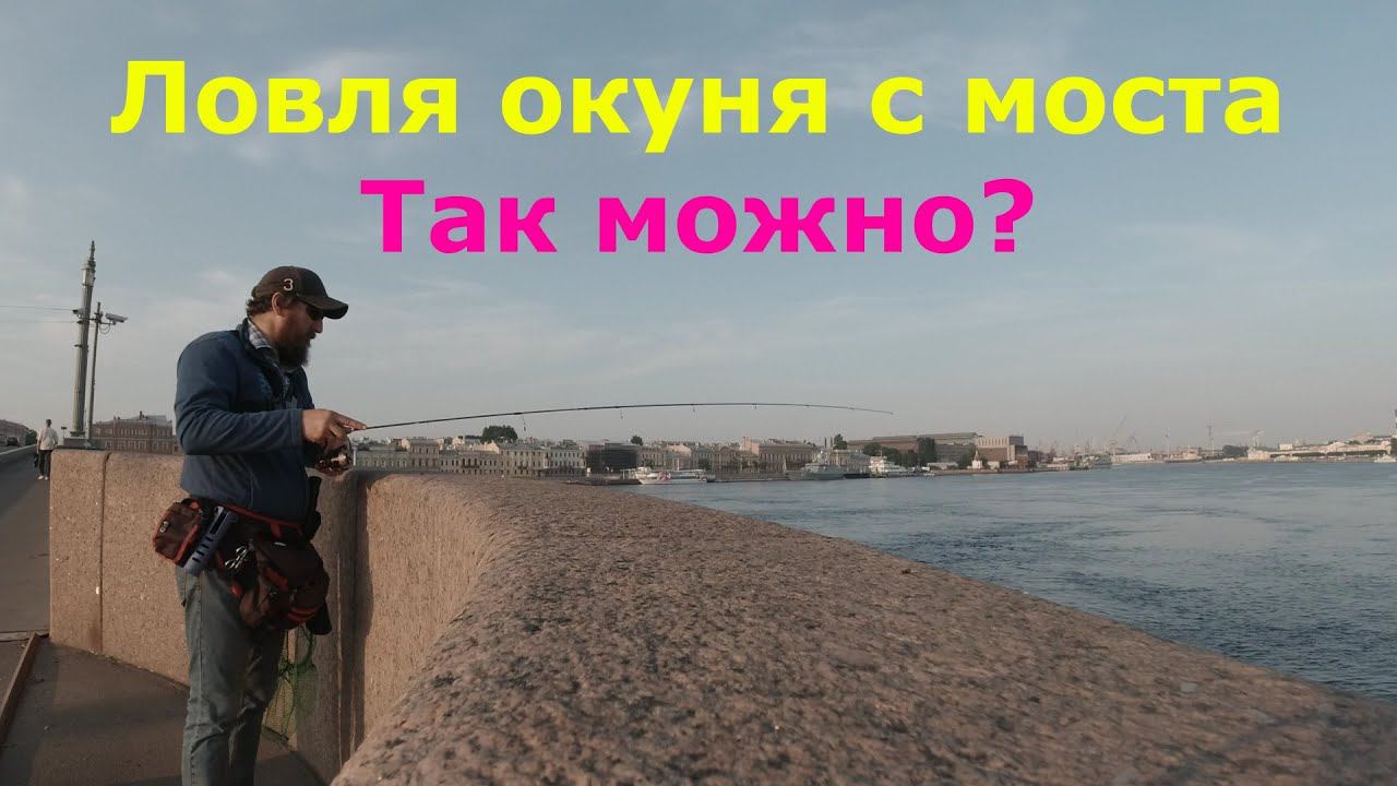433 streetfishing  Окунь под мостом 