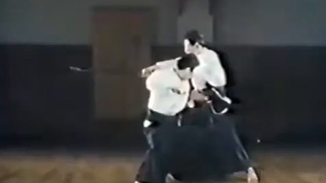 История Хонтай Йошин Рю Дзю Дзюцу, Бушинкан