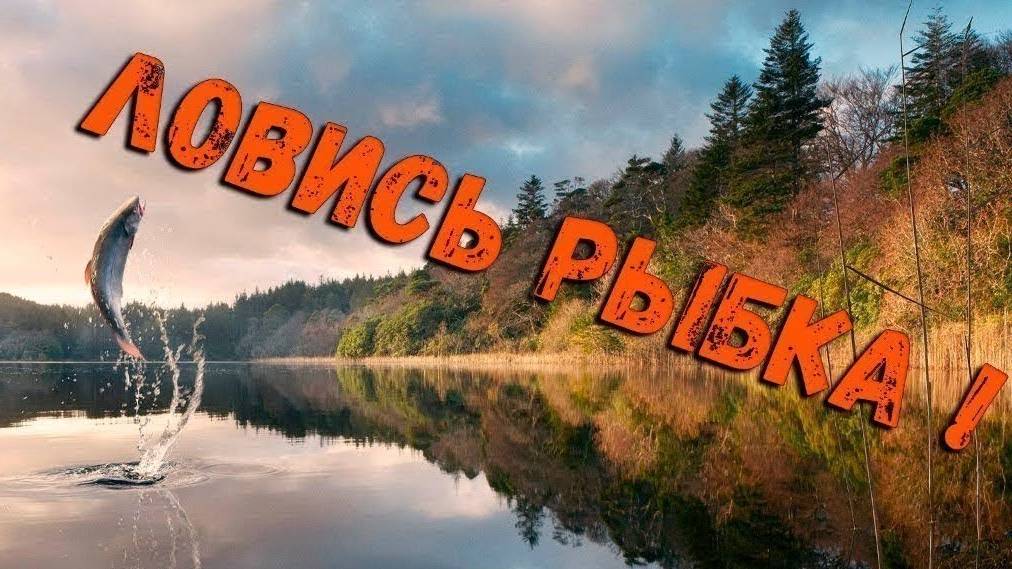 Russian Fishing 4 /Русская рыбалка 4 по рыбным местам