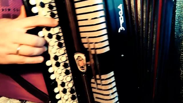 Грибы - Тает Лёд Кавер Баянист из Донецка.mp4
