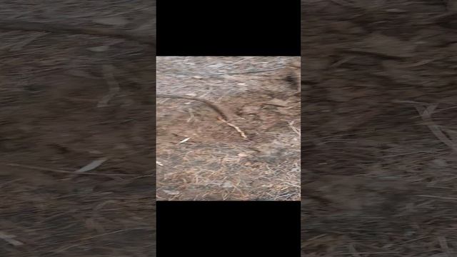 Металл под ногами