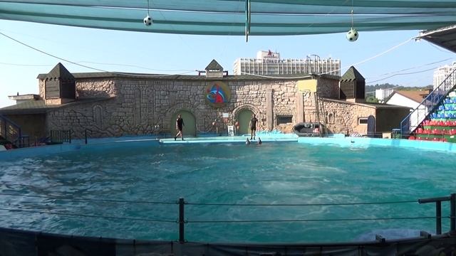 Дельфинарий в Адлере..mp4