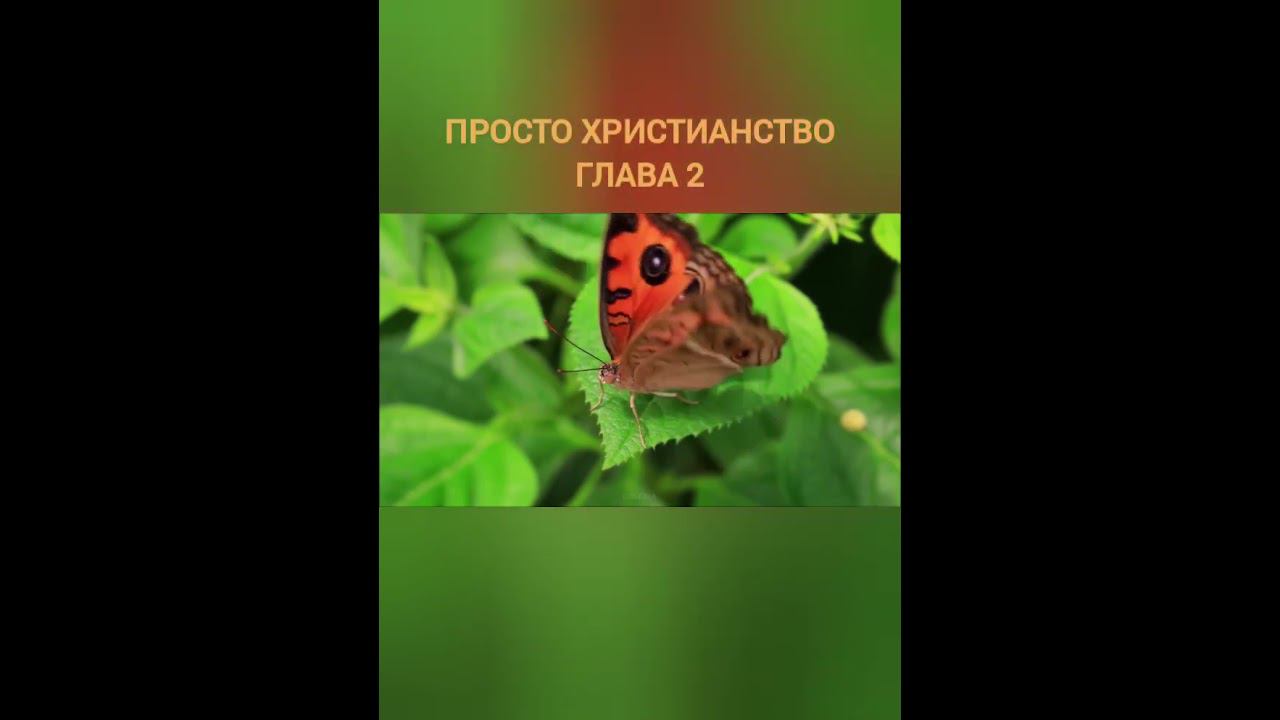 Клайв Льюис просто христианство. глава 2