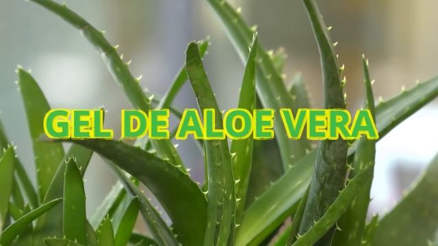 Agrega estos pocos ingredientes a tu champú? Acelerarás el crecimiento del cabello y lo engrosarás