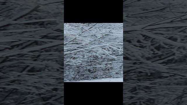 Погода сказка