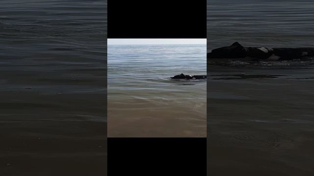 20230607_173420.mp4