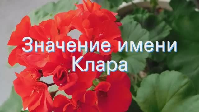 Значение имени Клара. Толкование, судьба, характер