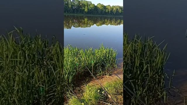 Сердцем и душой мы всегда с рыбалкой