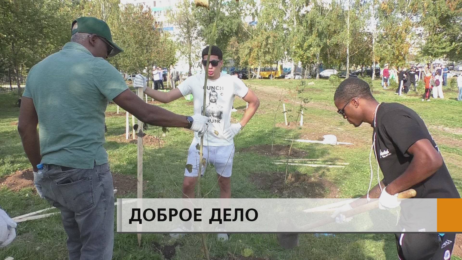 ЗВЕЗДЫ МИРОВОГО БОКСА ВЗЯЛИСЬ ЗА ЛОПАТЫ