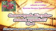 Семена и черенки Железовых- налетай, подешевело!!! Серия 2.