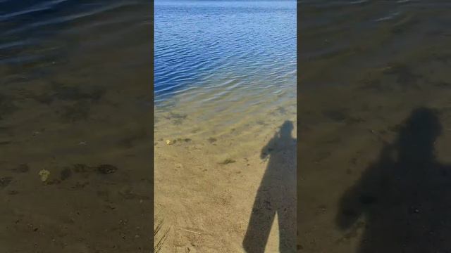 МУДРЫЕ СЛОВА