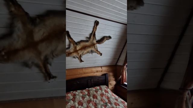 Отдых в Глухомани.mp4