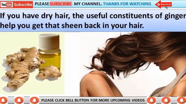 Ginger Benefits for Hair
