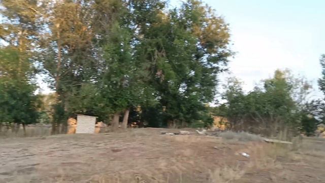 Как мы из Москвы уезжали. Сцена вторая - заключительная😂