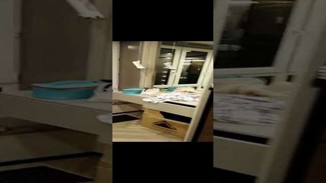 Гардероб.mp4