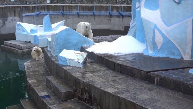 После сна Белка попросила покушать. 20.08.2023