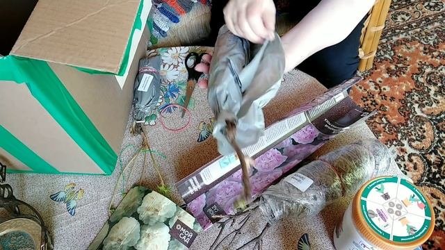 Садовый рай мои новые приобретения...