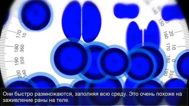 Изобритение Натана Ньюмана и его Клиника в Беверли Хиллз 0503306747