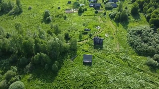 Одинокая птица...