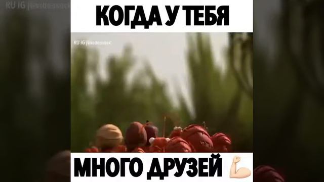 Ответ на вопрос зачем нужно много друзей)