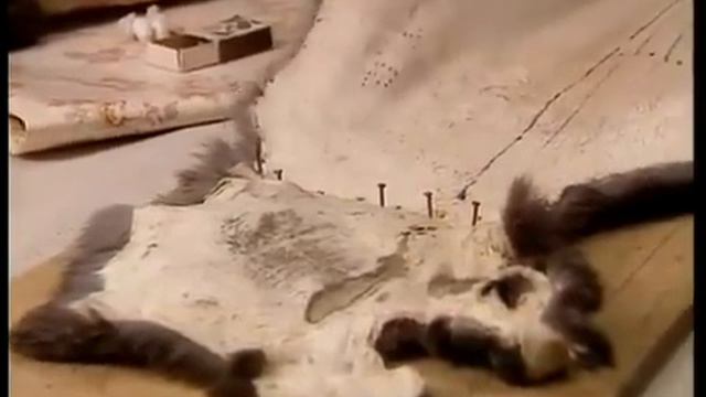 кролиководство   это бизнес 5
