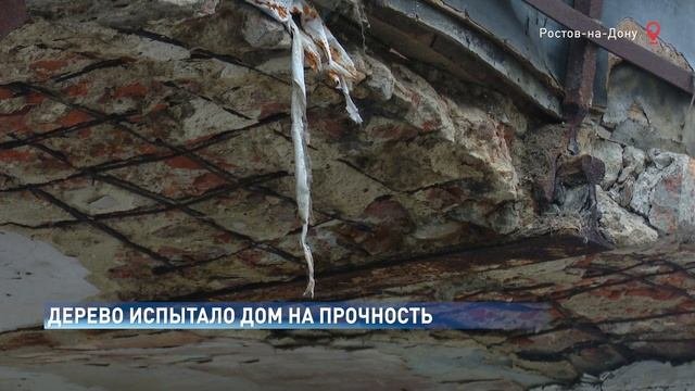 Огромное дерево упало на крышу жилого дома в Ростове