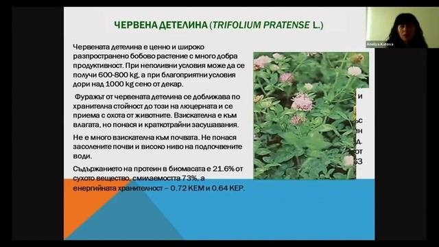 Подобряване състоянието и екологосъобразно използване на естествените ливади и пасища