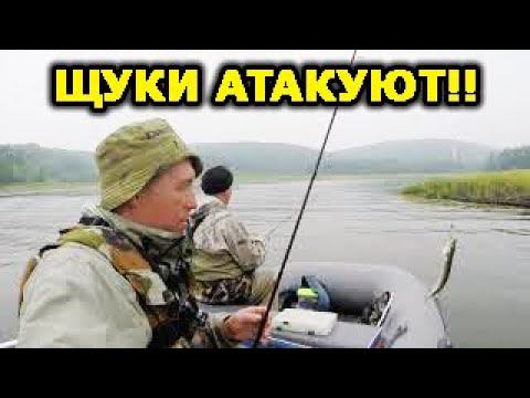 Щуки атакуют, блин! А говорили её здесь нет... Ловля щуки. Ловля окуня. Рыбалка на квх