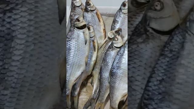 Настоящие цены на рыбу в Астрахани. Апрель 2024. Вяленая, если что, за 1 шт.