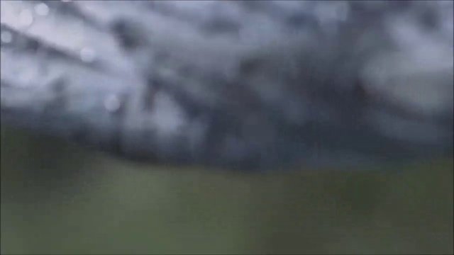 Ода осени