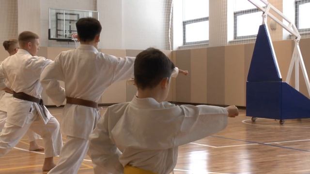 СК БУДО техника каратэ