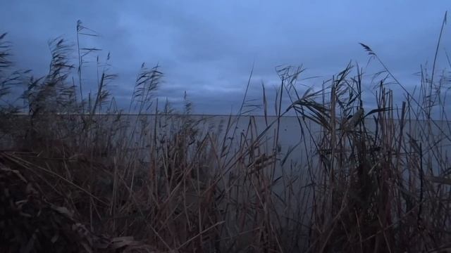 НЕЗАБЫВАЕМЫЕ  Налёты Северной Утки / Охота на Лиманах Краснодарского Края