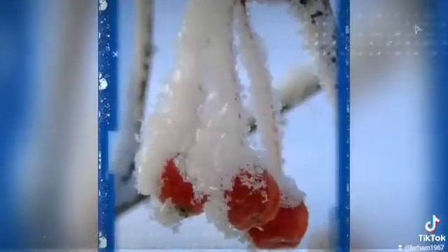 С первым днём зимы.