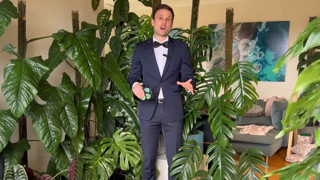 🏆SPG PLANT AWARDS 2022 - A (hopefully Funny) Look Back On A Year Full Of Growth
