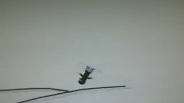 line boarder