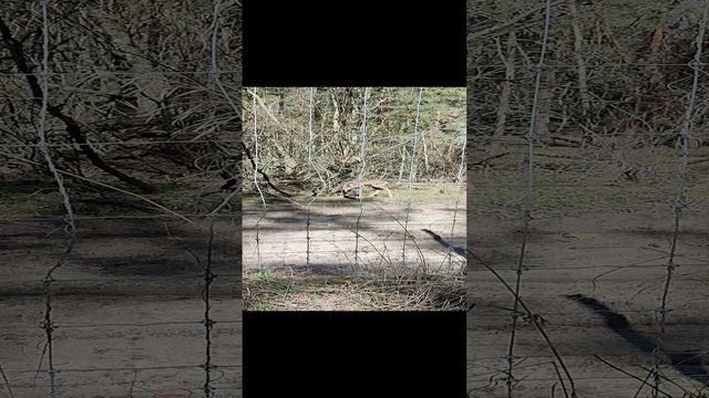 VID_20230416_110132