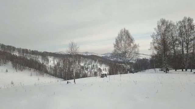 Воскресенье. Прогулка на лошадях.