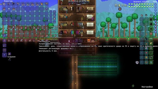 Terraria Calamity Mod #11