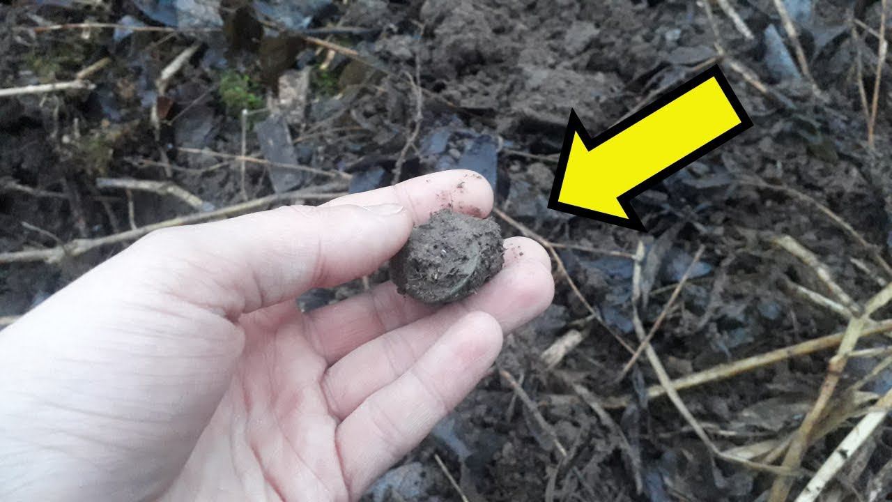 Пьяный коп ПРИНЕС МОНЕТ !!!