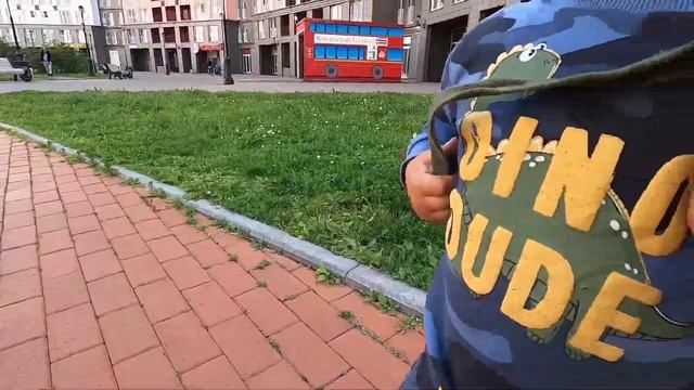 Возвращение к бультерьеру или 14 дней без собаки.