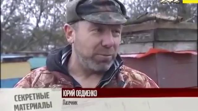 Как отличить настоящий мед от отравы   Секретные материалы