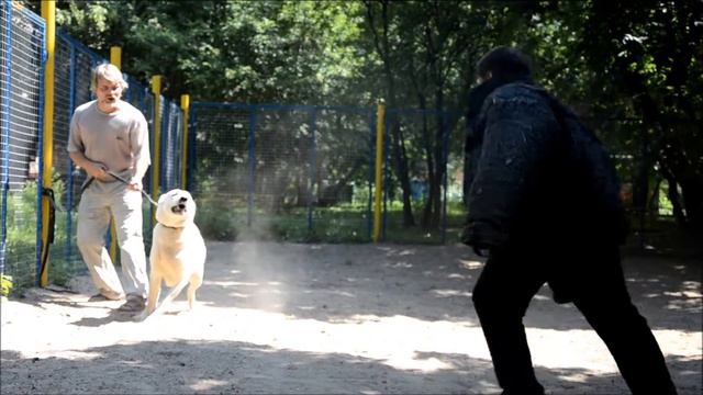 Кусь кусается :)