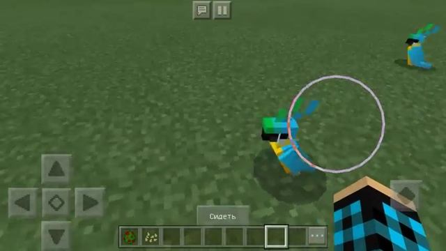 Как Приручить Попугаев в Minecraft 1.2?