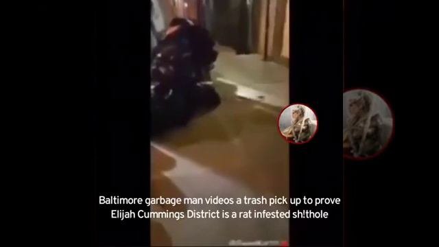 Joey Gibson   Rats in Baltimore!