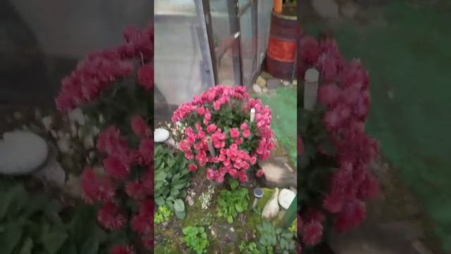 Сочи Ордынка.