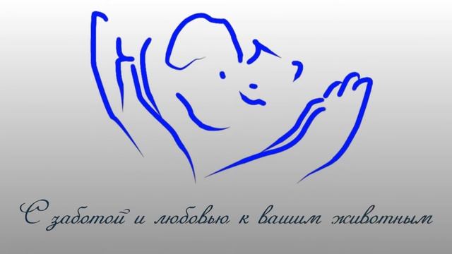 Ветеринарная клиника и аптека "НА РАБОЧЕЙ" (Днепр)