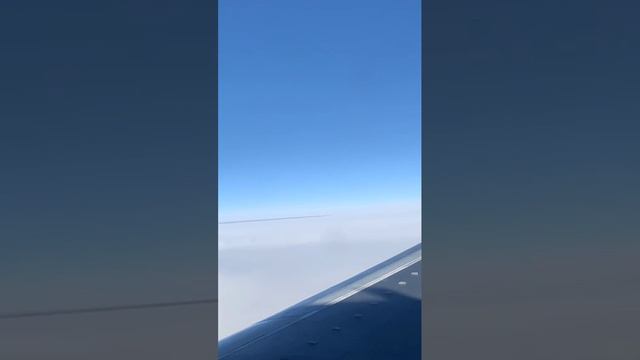 Завораживающая красота