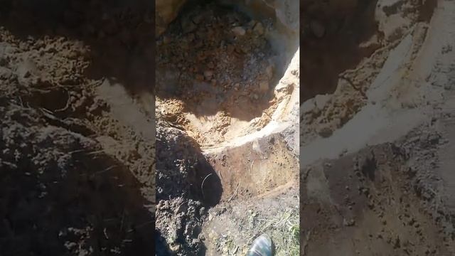 начал возить песок за бесплатно